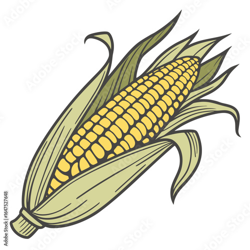 A vibrant illustration of a freshly harvested ear of corn with green husks