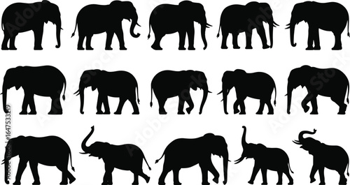 Silhouettes of fifteen elephants in various poses and stances, walking, standing, trunk raised, wildlife reference, animal behavior vector illustration