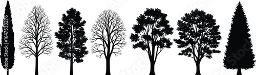 Silhouettes of seven tree types, conifer and deciduous, with bare branches and dense foliage, botanical reference, landscape design vector illustration