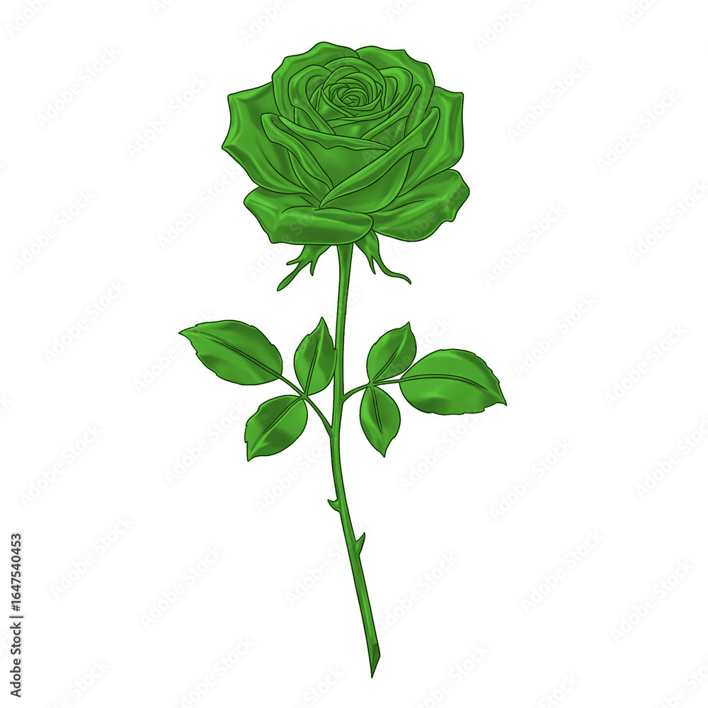 Obraz premium PNG-Single rose illustration , delicate thin lines, transparent background