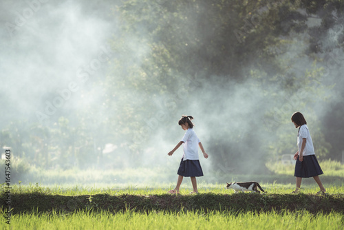 Children Walk in Rice Field with Cat in Misty Background, Rural Scene, Nature Exploration, Joyful Play, Serene Atmosphere, Asian Landscape