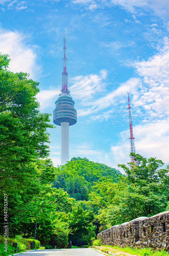 Obraz premium The summer forest view of Seoul Tower