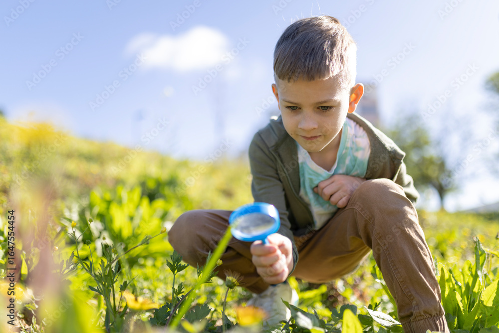 Curious child exploring nature with magnifying glass in meadow Curious child exploring nature with magnifying glass in meadow