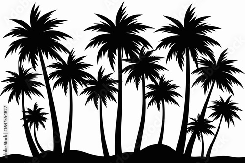 Silhouette of a tropical palm tree grove against a white background