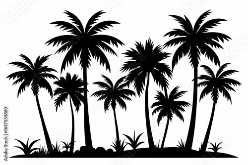 Black silhouette of tropical palm trees on a white background