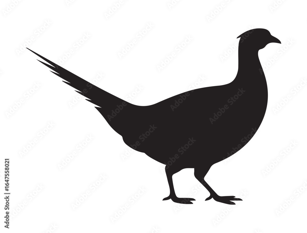 Fototapeta premium very simple flat and minimalist Pheasant. Vector black silhouette. with white background