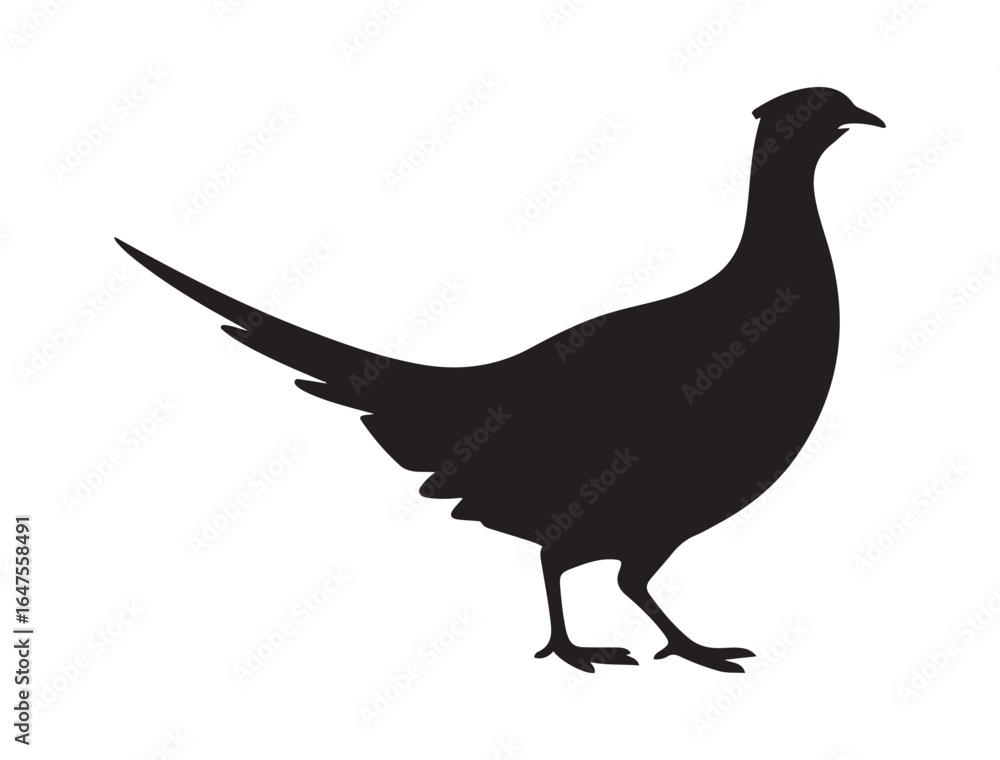 Fototapeta premium very simple flat and minimalist Pheasant. Vector black silhouette. with white background