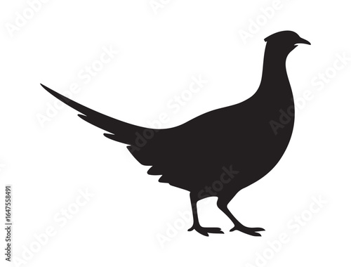 very simple flat and minimalist Pheasant. Vector black silhouette. with white background