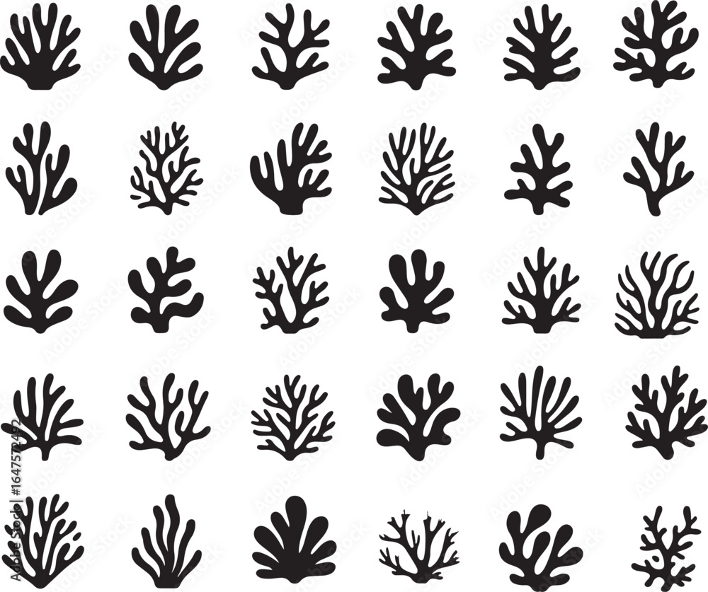 Fototapeta premium Coral Icons and Illustrations in Black and White
