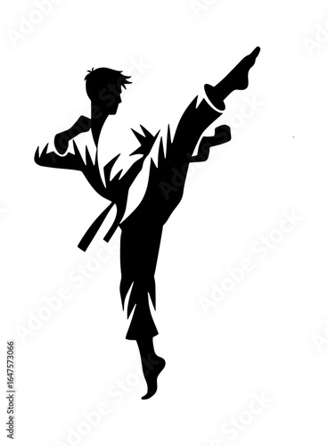 black silhouette of a man doing a high kick