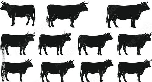 Cow silhouette icon set, farm animal vector, livestock graphic collection, cattle side profile, black design, standing cow poses