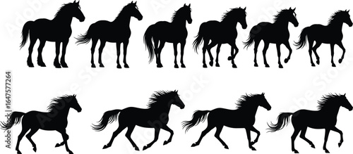 Horse silhouettes in motion, galloping and walking poses, equine illustration, animal movement, dynamic horse design, black figure graphics