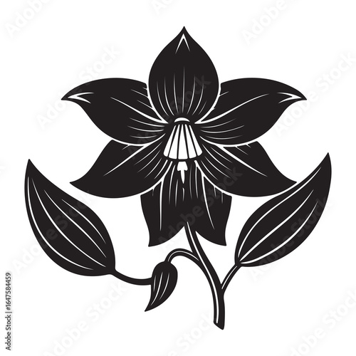 A Lush and Abundant Bellflower Plant, a Perennial with Graceful, Bell-Shaped Blossoms and Green Foliage Thriving in a Sunlit Outdoor Environment