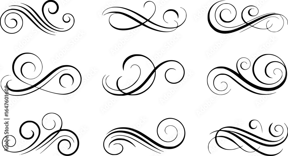 Fototapeta premium Elegant black swirls and flourishes on white background decorative ornate vector