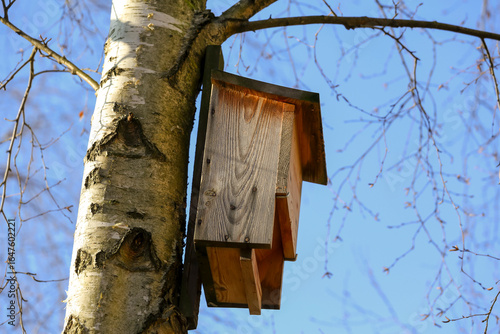 A wooden bat house on a tree trunk in the Goclaw housing estate, Warsaw, Poland