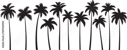 Palm Tree Silhouette Collection Tropical Getaway Exotic Beach Island Relaxation