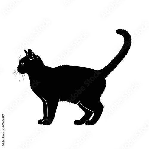 A sleek black cat stands in profile on a white background, showcasing its elegant silhouette and attentive posture.