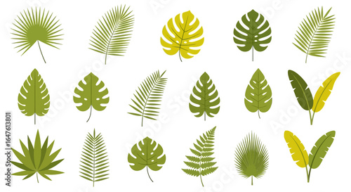 Set of various green and yellow tropical leaves, including palm, monstera, and fern, in a flat vector style.