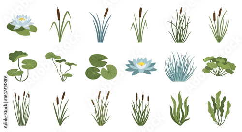 Stylized Aquatic Plants Vector Set: Water Lilies, Cattails, and Green Pond Grasses Collection