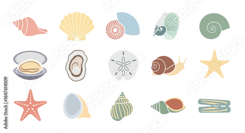 Stylized collection of colorful seashell and marine life icons, including clam, starfish, sand dollar, and snail in a flat design.