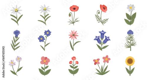 A charming set of fifteen stylized wildflower illustrations with simple, flat colors and folk art design.