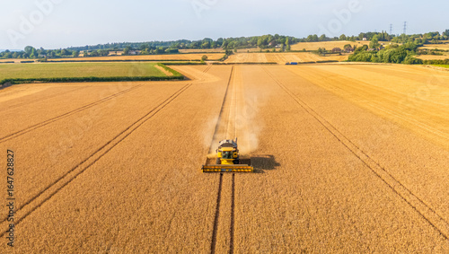 Front aerial view of a combine harvester cutting wheat in a field, agricultural or farming concept