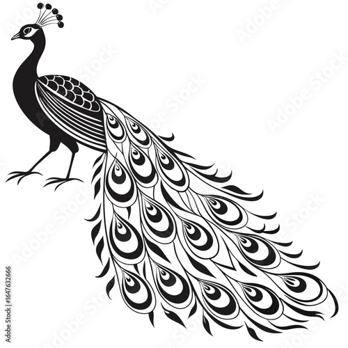 peacock vector illustration