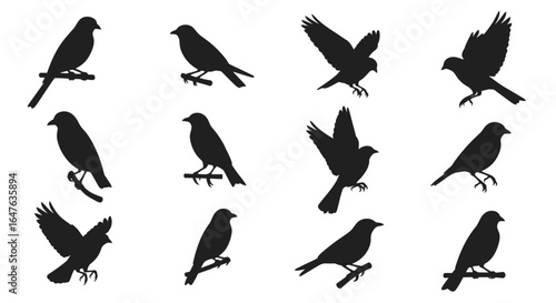 Elegant black bird silhouettes showcasing nature's beauty, perfect for modern designs and decor
