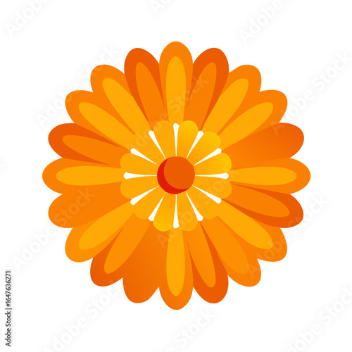 Vibrant Orange Flower Blossom Illustration on Black Background for Nature Designs