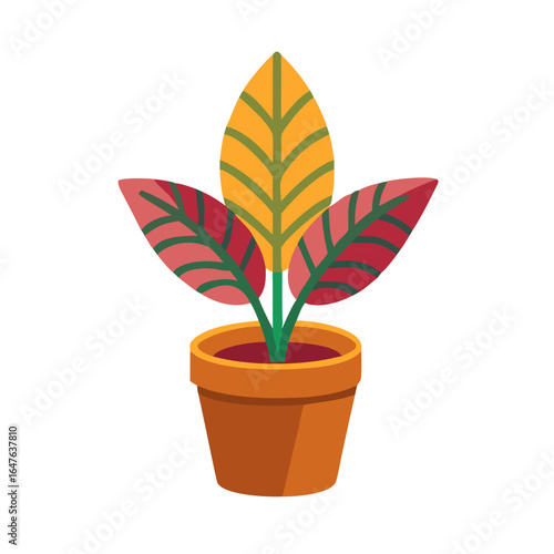 Flat Vector Illustration of a Potted Plant with Colorful Leaves on Black Background