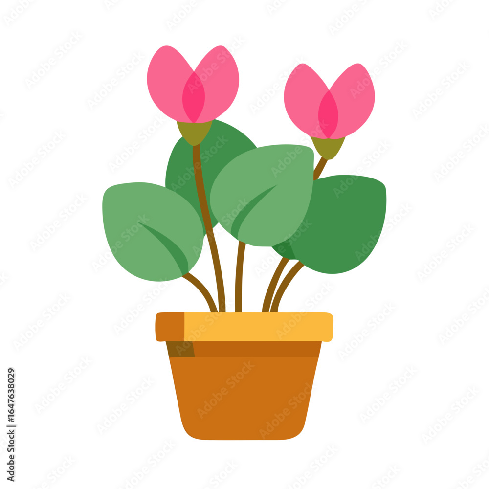 Obraz premium Cyclamen plant with pink flowers in a brown pot on a black background