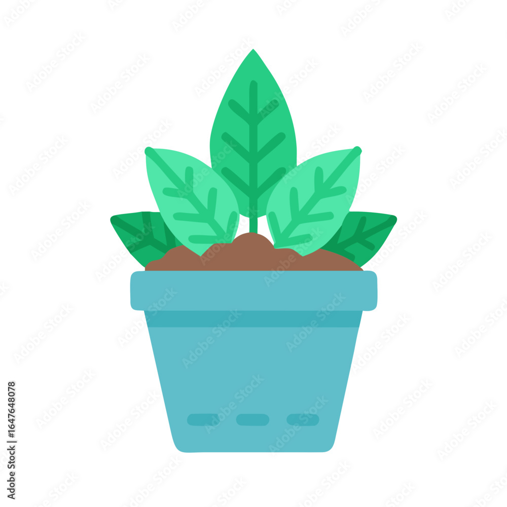 Fototapeta premium Indoor plant illustration with teal pot and green leaves on black background