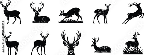 Black and white deer silhouette set, antlered and non-antlered poses, standing, grazing, leaping, lying down, wildlife vector illustration, animal shapes, clipart