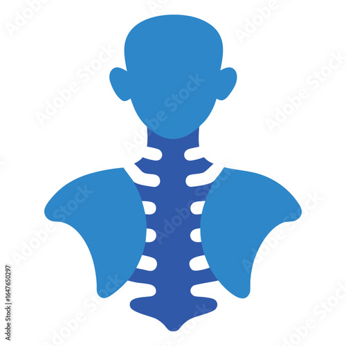 Human Neck Vertebrae Silhouette Vector Segmented and Clear on White Background