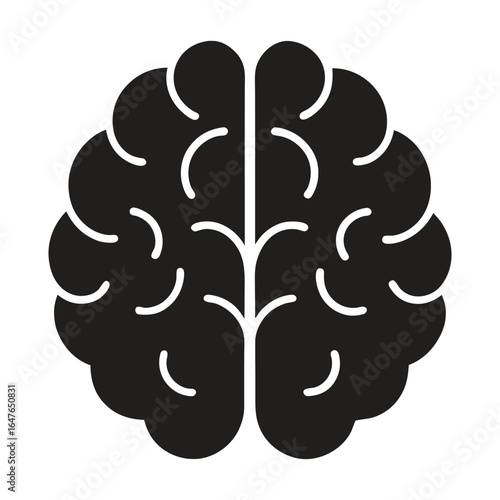 Vector Silhouette of Human Brain Hemispheres Detailed and Symmetric on White Background