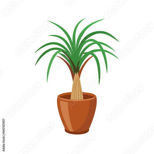 Stylized ponytail palm in a terracotta pot against a solid black background
