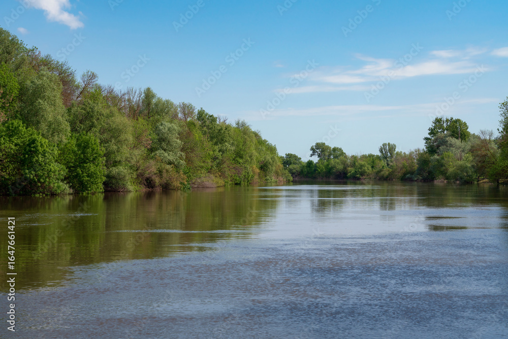 Fototapeta premium The Volga River Delta in the Damchik section of the Astrakhan Biosphere Reserve, Central cordon, on a sunny summer day, Damchik village, Kamizyaksky district, Astrakhan region, Russia