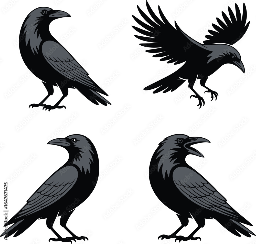 Obraz premium A silhouette vector illustration of a flying black eagle with detailed wings and a feather