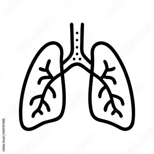Simple line drawing of lungs and trachea for medical illustration purposes