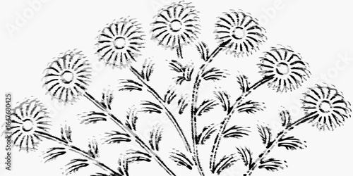 Vector illustration of a floral arrangement with daisies and stems in black and white with a vintage feel