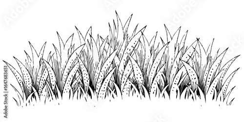 Vector illustration of a dense patch of grass with detailed leaf textures and a black and white color scheme