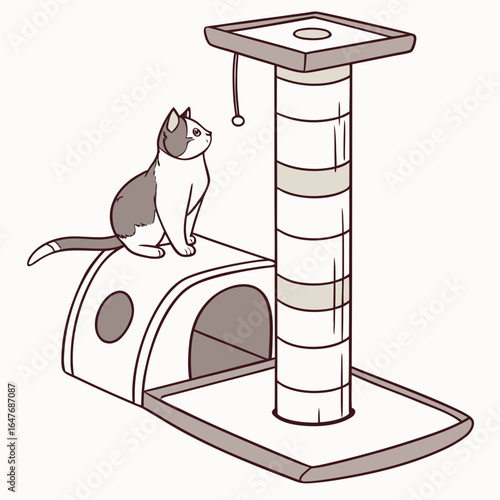 Cat sitting on toy house near scratching post kitten
