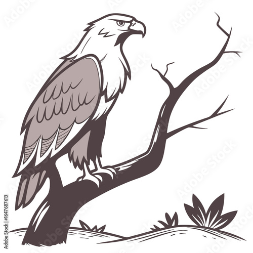Majestic eagle perched on bare branch bird raptor