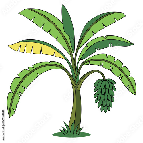 Single cartoon banana tree displays green fruits and broad leaves against a transparent backdrop