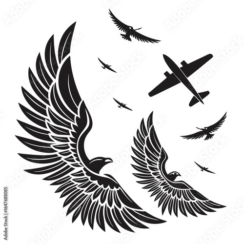 Eagles and airplane flying bird flight