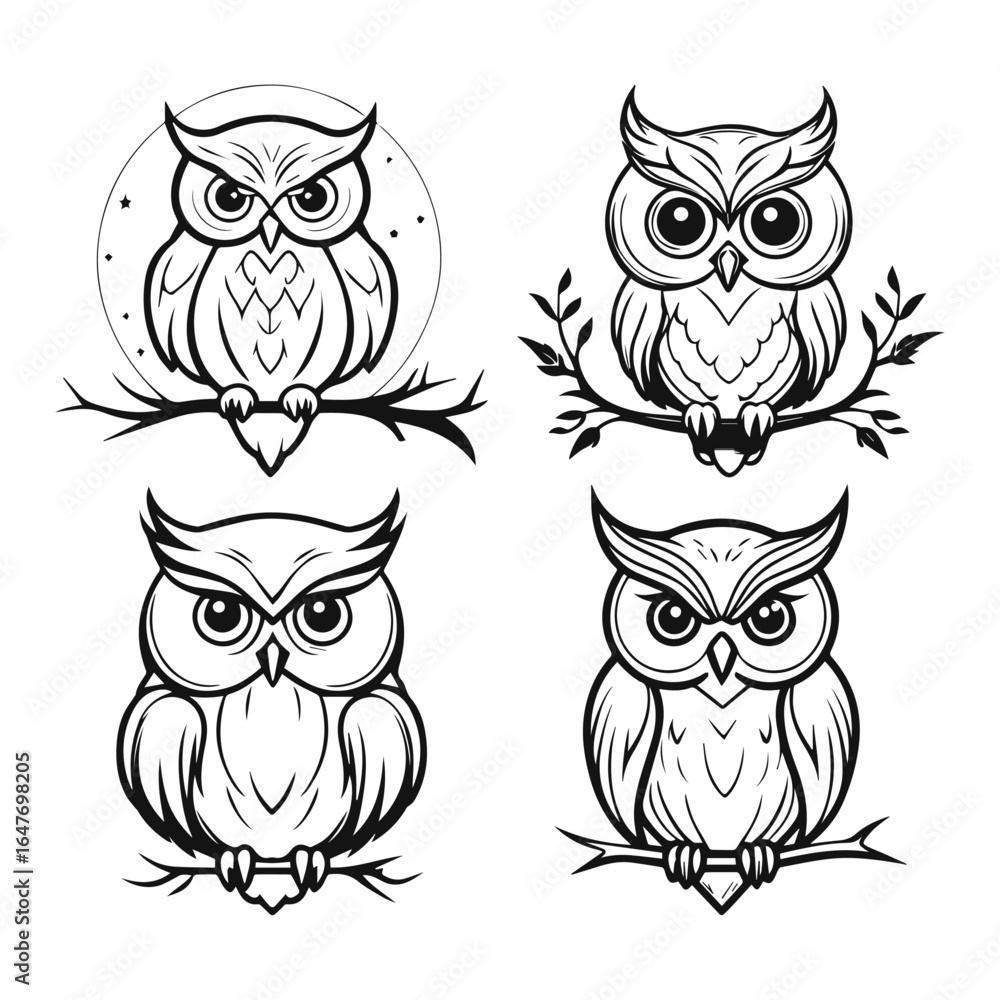 Fototapeta premium set of owls