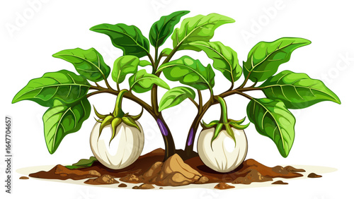 Delicate white eggplants hang gracefully from a small plant, surrounded by lush green leaves, their smooth surfaces glowing softly against the clean simplicity of the white background.