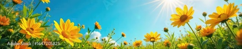Vibrant summer colors explode in a joyful burst of sunshine yellow, sky blue, and vibrant greens, capturing the essence of warm weather and playful energy , sunshine, grass