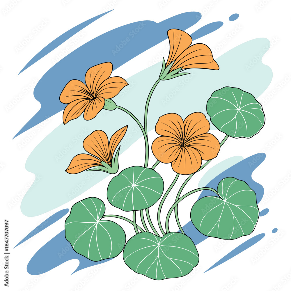 Obraz premium Nasturtium flowers with large green leaves against an abstract blue background appear vibrant