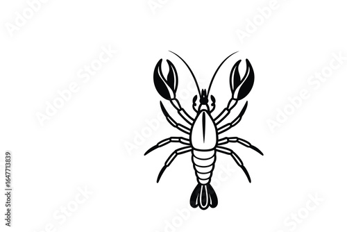 A black and white illustration of a crawfish or crayfish from a front view perspective